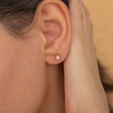 dainty gold pearl stud earrings for everyday wear since they are waterproof and made of tarnish free material